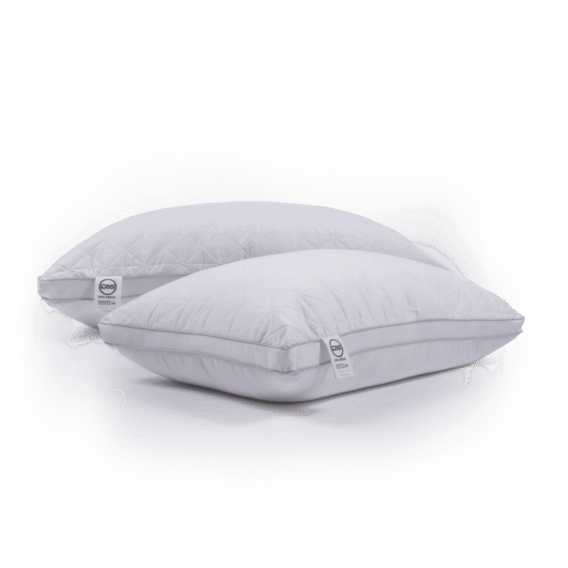 Combo 2 : Queen Pillow